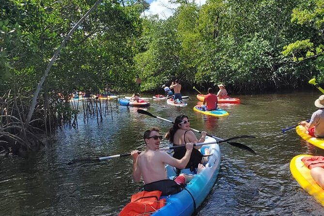 Island City ECO Paddle and Lesson to 9.3 Acre Nature Preserve - An In-Depth Look at the Tour