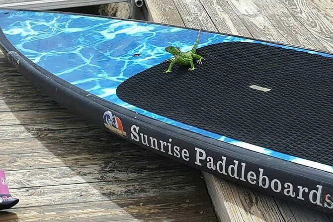 Island City ECO Paddle and Lesson to 9.3 Acre Nature Preserve - Frequently Asked Questions