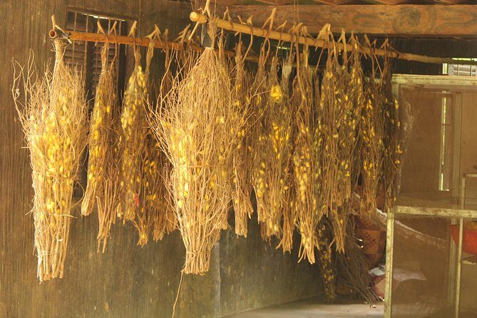 Island Community Life in Phnom Penh - Final Thoughts: Is It Worth It?