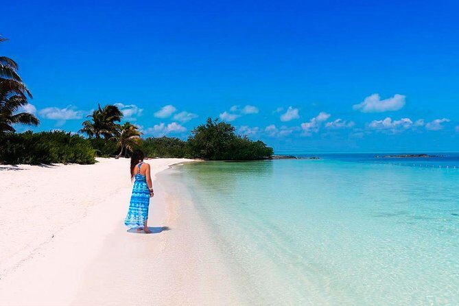 Island Contoy Adventour & Buffete & Isla Mujeres only from Cancun - An In-Depth Look at the Tour Itinerary
