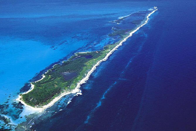 Island Contoy Adventour & Buffete & Isla Mujeres only from Cancun - Considerations and Possible Drawbacks