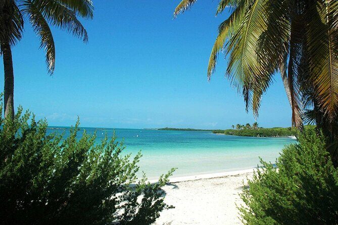 Island Contoy Adventour & Buffete & Isla Mujeres only from Cancun - Final Thoughts: Is It Worth It?