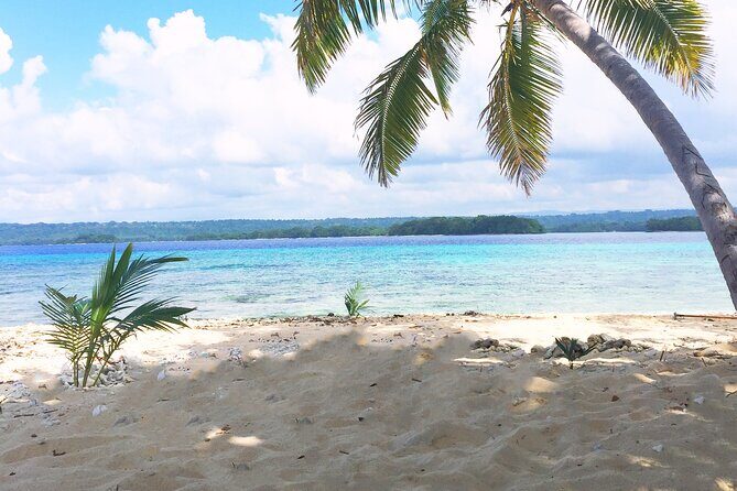 Island Day Tour Santo's Best Snorkeling Marine Sanctuary - Transportation and Group Size