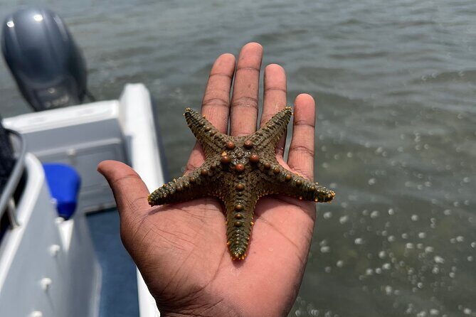 Island Escape day trip Speedboat Excursion in Maputo - What Travelers Are Saying