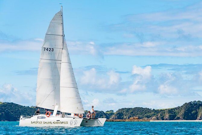 Island Hopper Day Cruise - sailing to wildlife sanctuary island - 6 hr cruise - Key Points