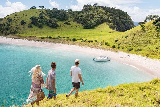 Island Hopper Day Cruise - sailing to wildlife sanctuary island - 6 hr cruise - Who Will Love This Cruise?