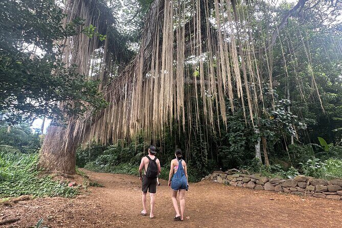 Island of Maui Customized Half Day Tour - Authentic Experiences According to Reviews