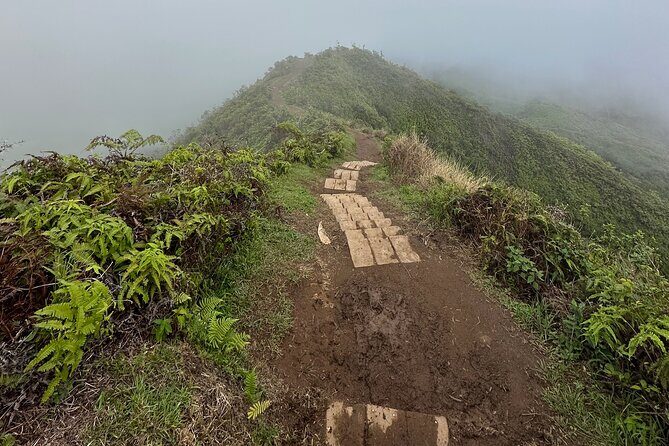 Island of Maui Customized Half Day Tour - Final Thoughts