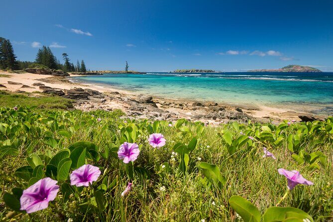 Island Orientation Package incl. Return Airport Transfers & Tour - Transportation and Comfort
