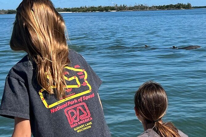 Island Paradise: Dolphin, Shelling, Birding Eco Boat Tour - FAQs About the Island Paradise Eco Boat Tour