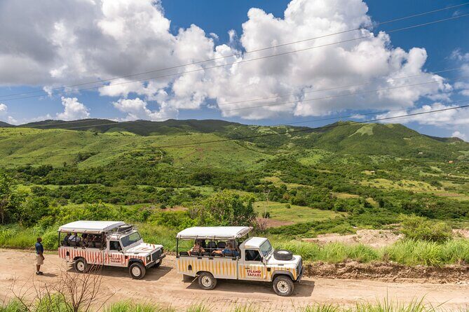 Island Safari 4x4 Discovery Tour from St John's - Key Points