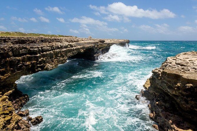 Island Safari 4x4 Discovery Tour from St John's - The Picnic Lunch and Overall Value