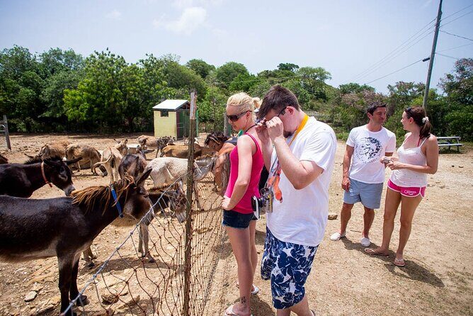 Island Safari Discovery - The Scenic and Cultural Highlights