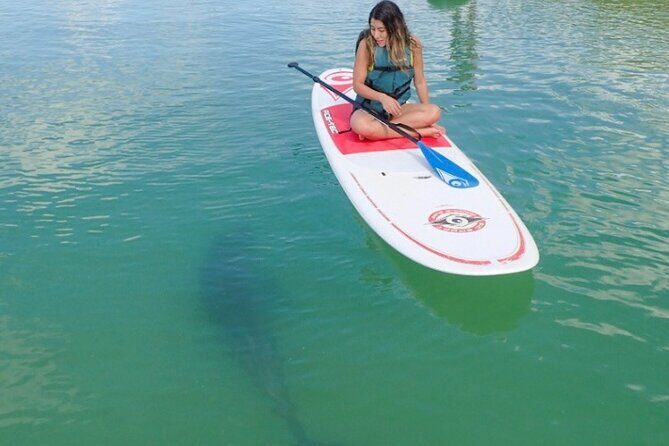 Island Tour by Pedal HOBIE / Kayak / SUP - Fort Myers Beach - Authentic Experiences & What Travelers Say
