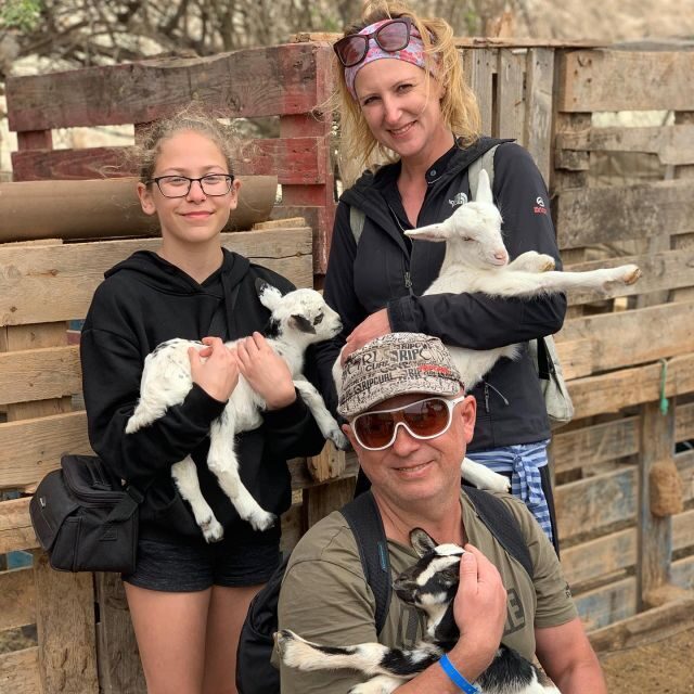Island tour & cattle & Taste local flavors - Wrapping Up: The Viana Desert and Return Journey
