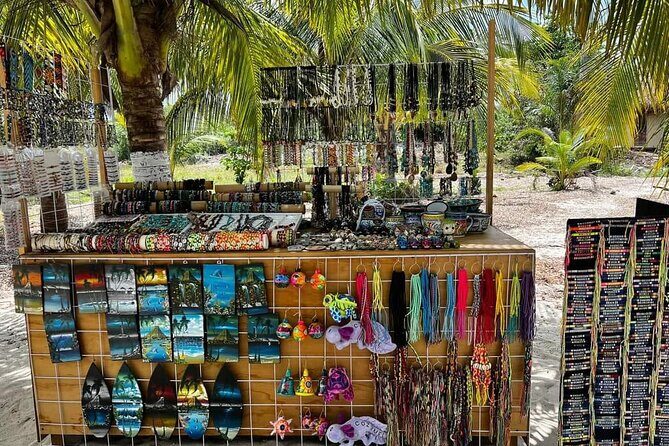 Island Tour in Cozumel, Mayan Show & Tacos - The Value and Overall Impression