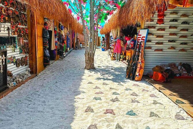 Island Tour in Cozumel, Mayan Show & Tacos - The Sum Up