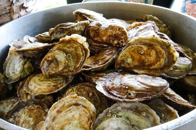 Island Tour with Oyster Tasting & Merroir Experience P.E.I. - Who Is This Tour Best For?