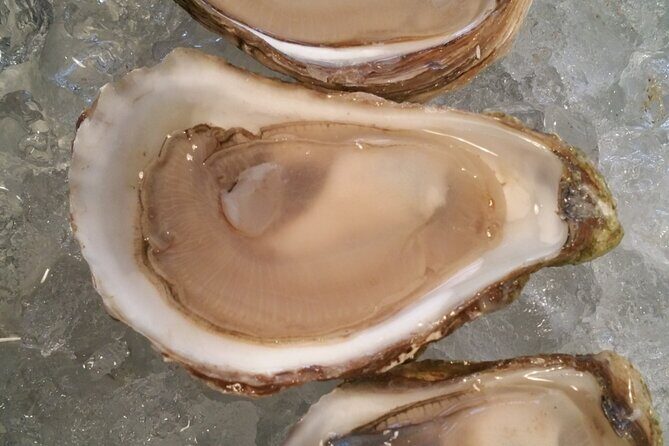 Island Tour with Oyster Tasting & Merroir Experience P.E.I. - FAQ