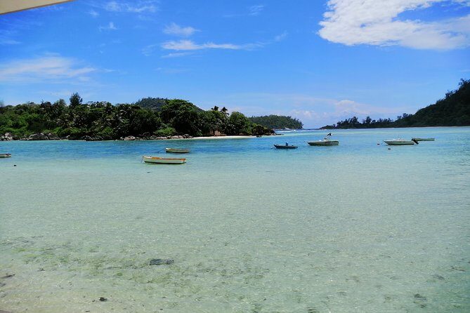Island tour with the beach buggy - The Sum Up: Why Choose This Tour?