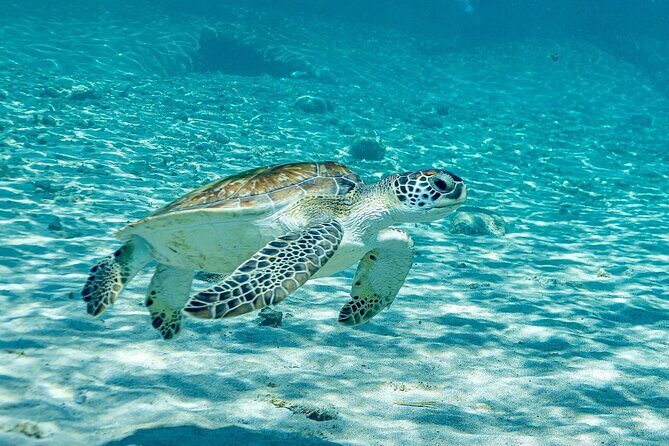Island Treasures: Caves, Turtles and Turquoise Beach Break - Authentic Insights from Real Travelers