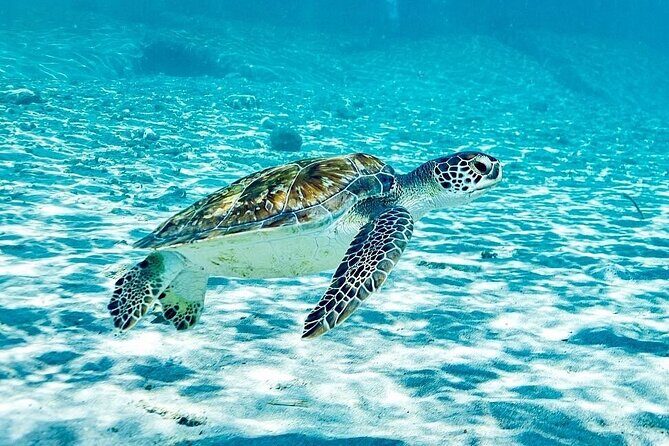 Island Treasures: Caves, Turtles and Turquoise Beach Break - FAQ
