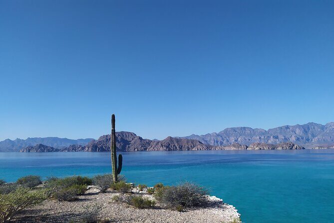 Islands of Loreto PRIVATE TOUR (Danzante y Sur de Carmen) - The Practicalities: What You Need to Know