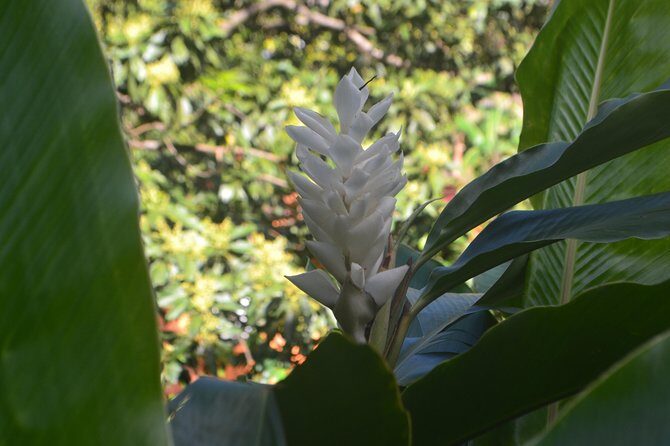 Isle of Spice Adventure Tour - The Sum Up