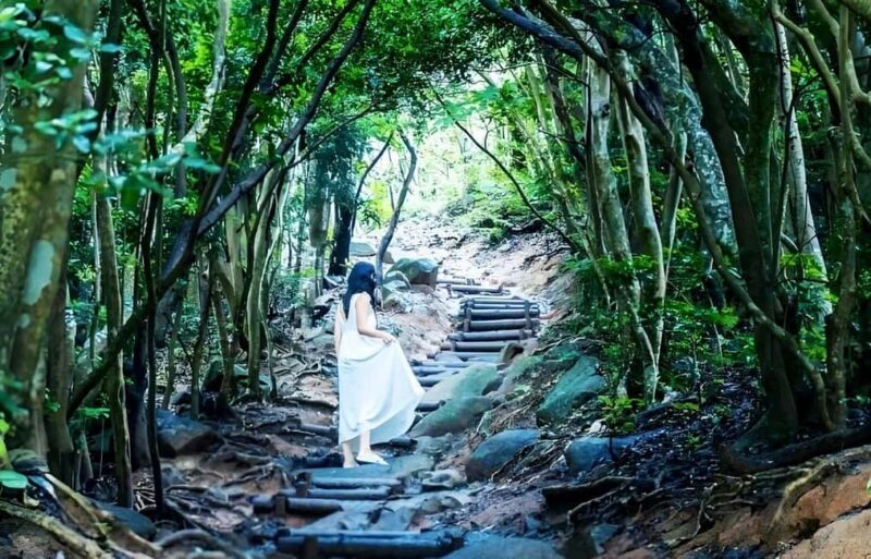 Itoshima Day Trip from Fukuoka: Nature & Coastal Scenery - Final Thoughts: Who Will Love This Tour?