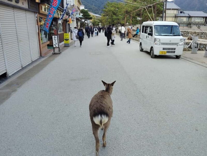Itsukushima Shrine: Guided Tour with a Local - FAQs