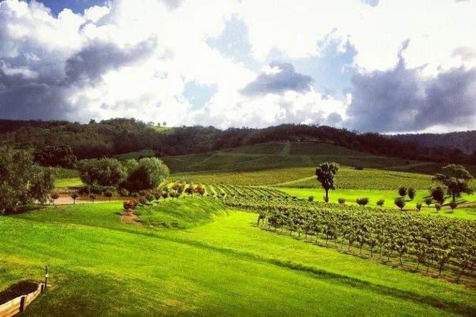 Ivanhoe Wines: Trip Advisor Premium Wine Tasting - Frequently Asked Questions