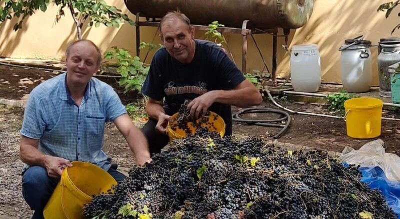Ivanovka Homemade Wine tour with Local lunch - Who Would Enjoy This Tour?