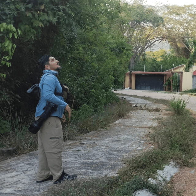Ixtapa: Bird Watching Tour with Round-Trip Transportation - Discover Ixtapa’s Birdlife: A 6-Hour Guided Tour with Round-Trip Transport