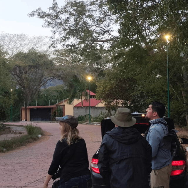 Ixtapa: Bird Watching Tour with Round-Trip Transportation - Final Thoughts: Is It Worth It?