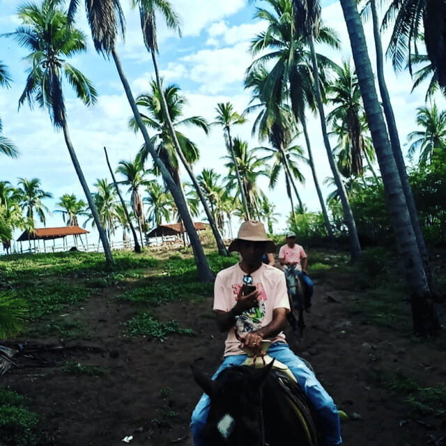 Ixtapa: Horseback Riding Tour Along Playa Larga - Details That Matter for Your Planning