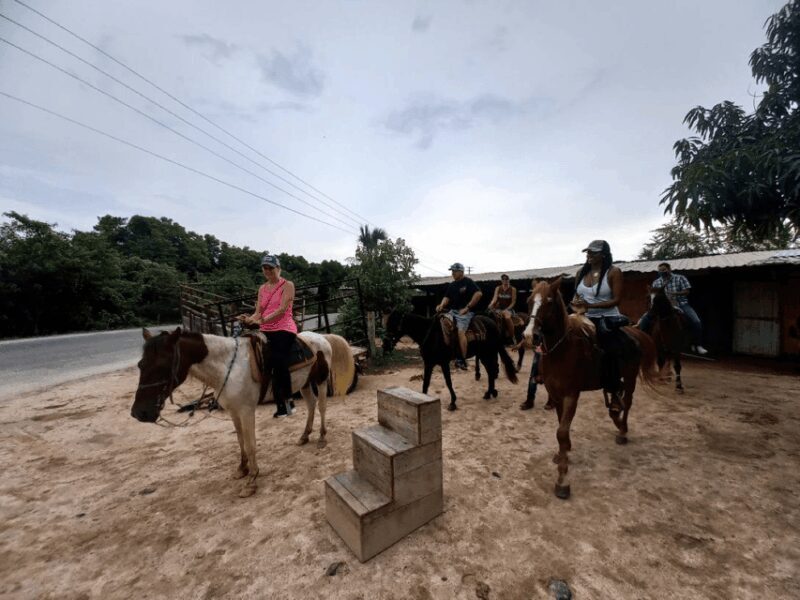 Ixtapa: Horseback Riding Tour Along Playa Larga - FAQs