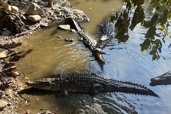 Ixtapa Island Tour - An In-Depth Look at the Ixtapa Island Tour