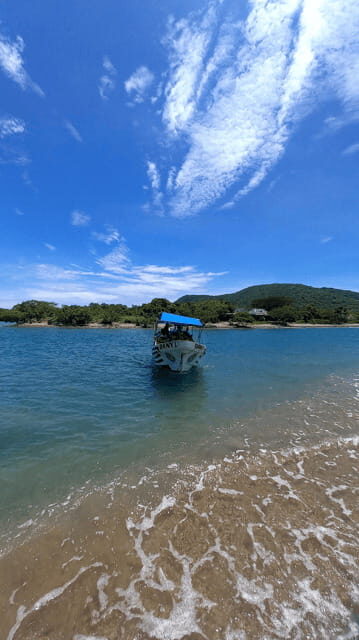 Ixtapa: Las Gatas Beach Adventure - Transportation and Timing