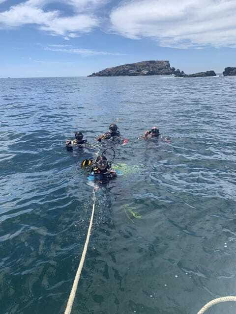 Ixtapa: Marine Life Exploration - Key Points