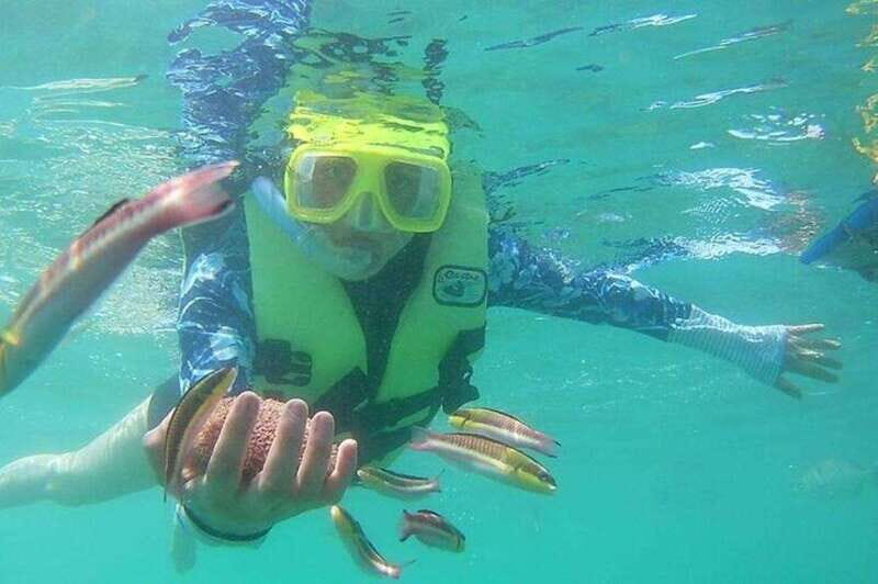 Ixtapa: Snorkeling Tour to Ixtapa Island - Discovering Ixtapa Island’s Underwater World