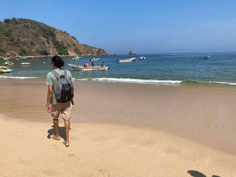 Ixtapa: Snorkeling Tour to Ixtapa Island - Who Will Enjoy This Tour?