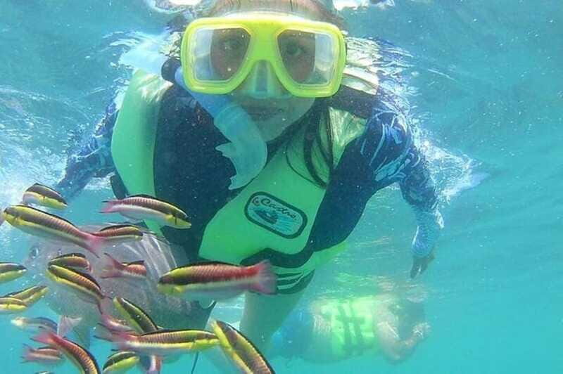 Ixtapa: Snorkeling Tour to Ixtapa Island - The Sum Up