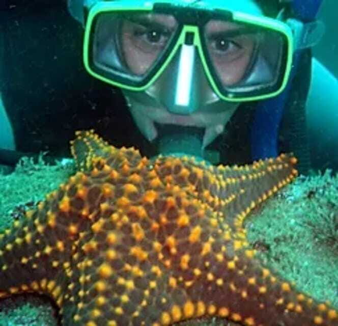 Ixtapa: Underwater Adventures in Zihuatanejo - Key Points