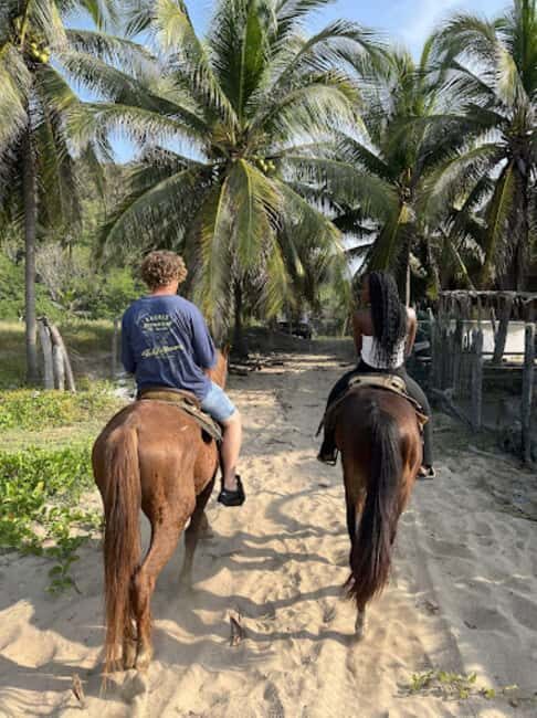 Ixtapa-Zihuatanejo: Horseback Riding Tour - Final Thoughts