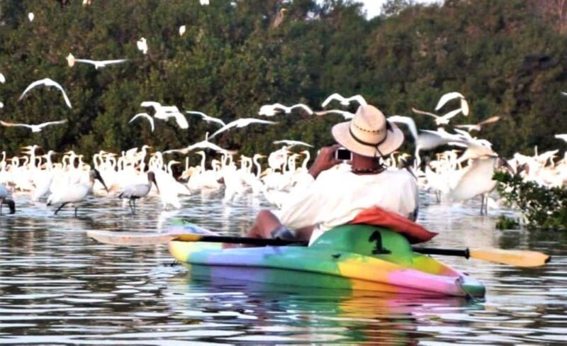 Ixtapa Zihuatanejo: Kayak Tour at Barra de Potosí - FAQs