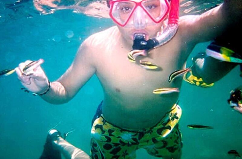 Ixtapa Zihuatanejo: Kayaking and Snorkeling Tour - Transportation and Group Size: What It Means for You