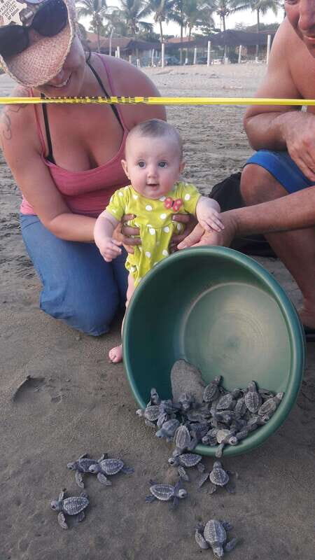 Ixtapa-Zihuatanejo: Turtle Release Tour. - Final Thoughts