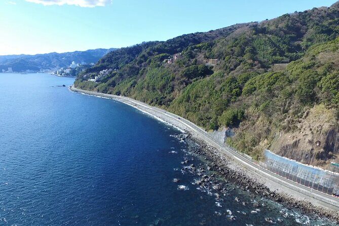 Izu Mount Omuro Day Tour: Atami Beach Line,Ropeway,Jogasaki Coast - Practical Tips for Travelers