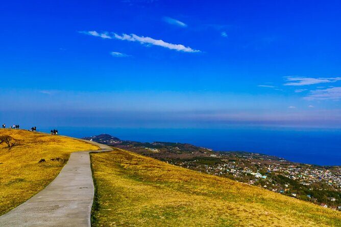 Izu Mount Omuro Day Tour: Atami Beach Line,Ropeway,Jogasaki Coast - The Sum Up: Who Will Love This Tour?