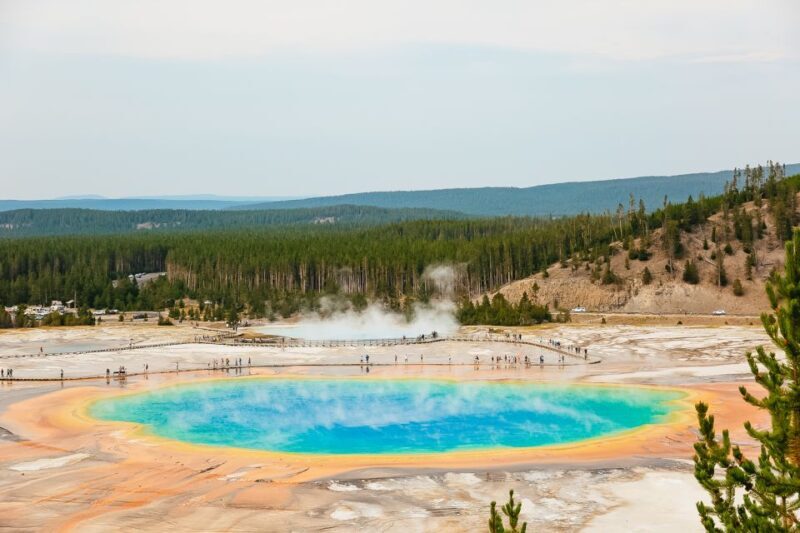Jackson: 2-Day Yellowstone National Park Tour with Lunches - Why This Tour Works for Travelers